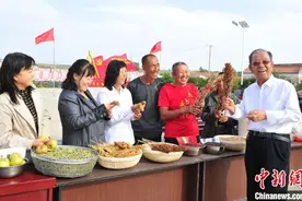 八旬老人杨文华：反哺家乡作贡献 助小乡村换新颜图片