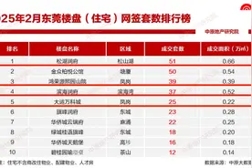 万万没想到，临深三项目冲上2月东莞住宅网签前五图片