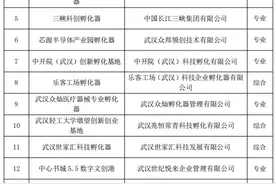 39家上榜！武汉公布最新一批市级科技企业孵化器、众创空间图片