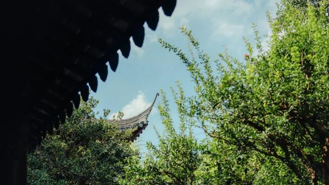 快来嘉定的“避暑山庄”，浸透一园清凉！