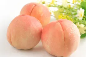 有种桃子叫玫瑰露图片