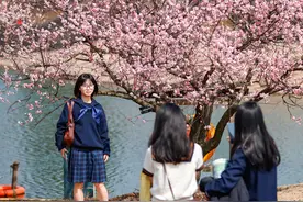 春暖花开 踏青赏景正当时图片