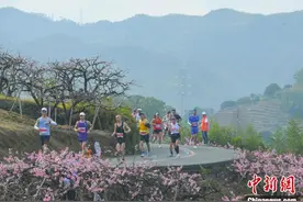 2024奉化马拉松开跑 台湾跑团“跑”进浪漫“桃花源”图片