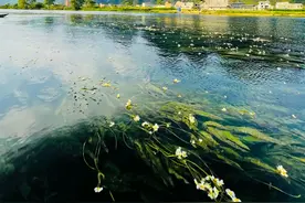 六月在广西怎么玩？荔枝芒果菠萝蜜等你很久了……图片