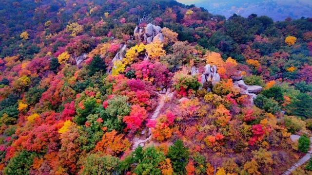 我想离开“浪浪山”，去辽宁看看！