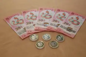 蛇年将至，来这个全新的邮币卡市场寻宝吧图片