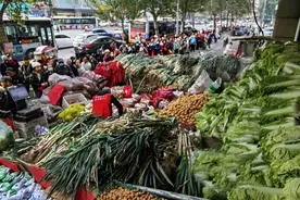 开启“囤秋菜”模式！今年沈阳秋菜价格怎么样？图片