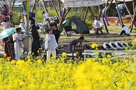 贵阳永乐乡：油菜花海惹人醉 踏青春游正当时图片