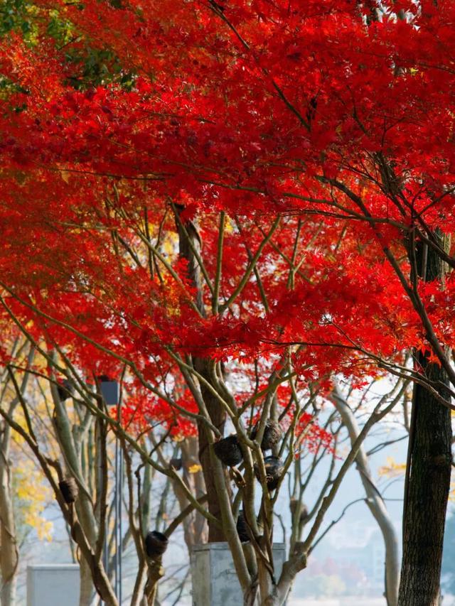 在千岛湖，这5公里要慢行！