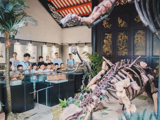 千载文脉耀岭南！增城“挂绿人文讲堂” 赋能文化启新程