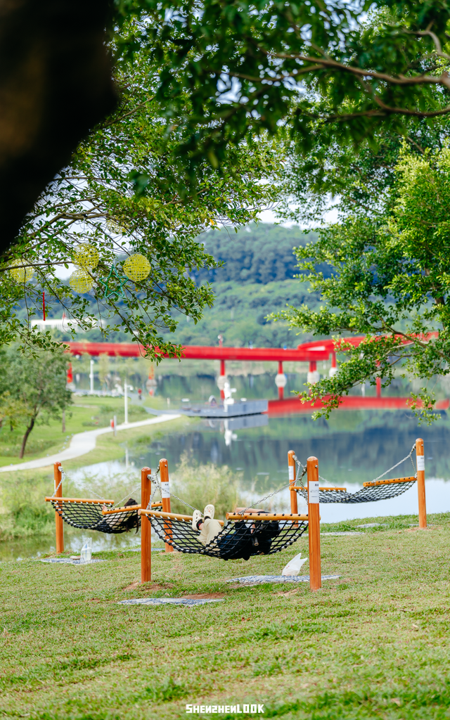 深圳环境五星的「网红公园」，不能再低调了