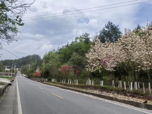 全国美丽公路!G351鹤峰段藏着多少惊喜?