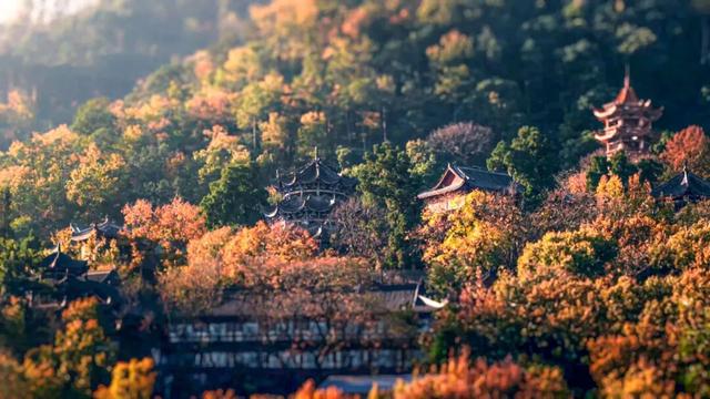 途经西昌！高铁旅游计次票上新