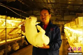 “春来燕归巢” 广西农民工家门口追寻“诗和远方”图片