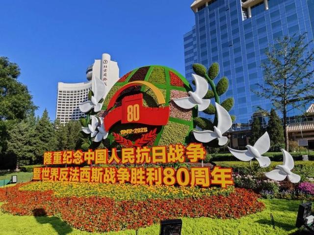纪念抗战胜利80周年主题花坛亮相！打卡指南→