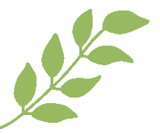 是时候再去一趟渤公岛了！