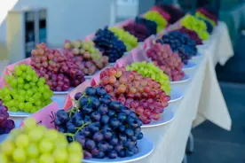 上海人喜欢的马陆葡萄上市了，老外也来“轧闹猛”图片