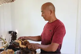 哈巴河梁勇：靠一双巧手让枯木“逢春”图片
