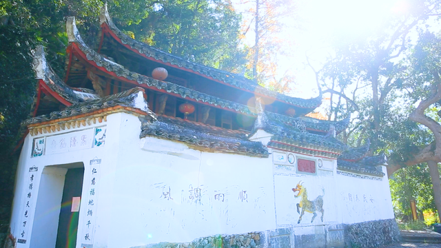 晚潮｜仙地鸬鹚：烟火与信仰织就的千年恋歌
