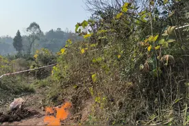 犍为一水井变天然气“火井”，当地：存在安全隐患，已掩埋无火图片