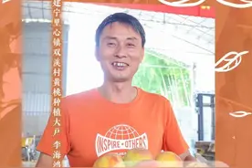 山海人家·共同富裕的故事｜建宁“鸿”途，黄桃香甜，双溪“致富果”喜丰收图片