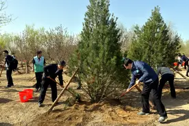 全国绿化委：春季植树造林展开，义务植树尽责形式有八大类图片