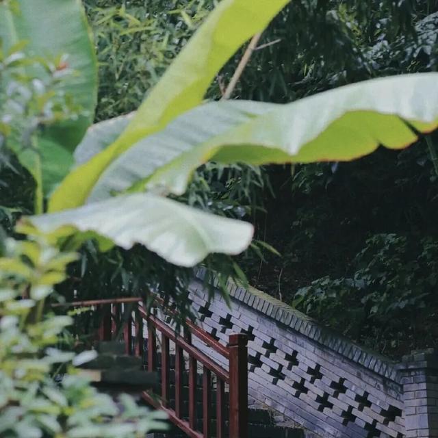 想在伊滨出片？这样拍满满故事感！