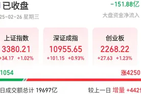 宇树科技功夫BOT上演回旋踢，带动A股机器人板块掀涨停潮图片