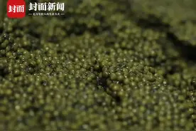 四川鱼子酱 “出圈”  这位代表有故事讲｜两会每日人物图片