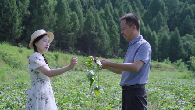 遇见西充，更遇见你！《慕・遇西充》公众号正式上线