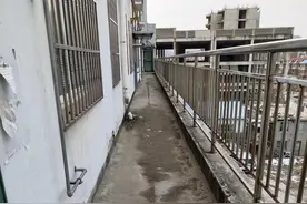 来电照登 | 维修单元门外走廊路需要业主承担费用？图片