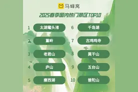 旅行大数据：“采茶”热度上涨，用舌尖感受春天图片
