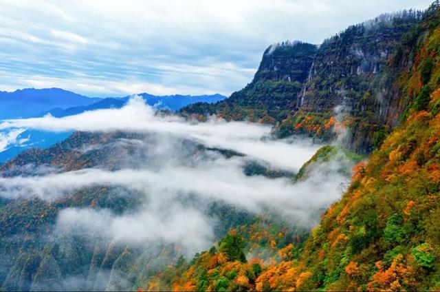 全球出圈‼️双奖加身‼️厉害了瓦屋山！