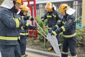 漳浦一学校出现眼镜蛇，他们出手了……图片