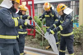 漳浦一学校出现眼镜蛇，他们出手了……图片