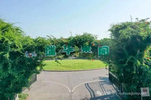 上海工会会员服务日来啦！第一波上线：光明田原与瑞华果园最佳草莓采摘季！免门票、85折！