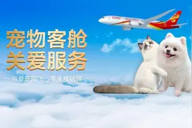 宠物也可进飞机客舱！这家航司新增线上预约功能图片
