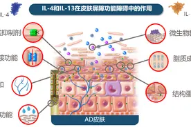 2型炎症对不同皮肤屏障成分有何影响？揭秘生物制剂的逆转机制图片
