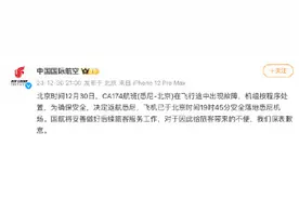 悉尼至北京航班飞行途中出现故障返航，国航致歉图片