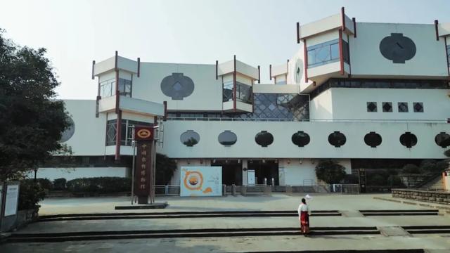 惊奇自贡 探秘龙乡④