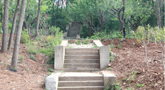 焕新归来！沂水东皋公园：四季有景夜有光 古塔生辉美出圈