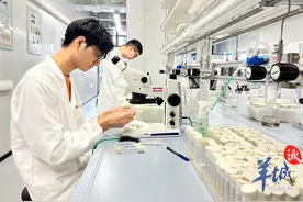 诺奖得主坐镇，小小果蝇相助 广州霍夫曼免疫研究所：打造国际合作新典范图片