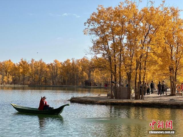 甘肃秋日限定：戈壁胡杨绘就金色秘境