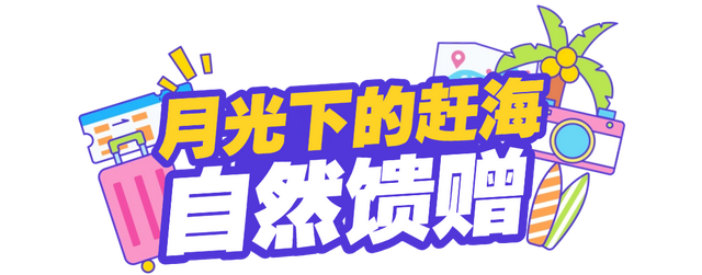 比白天更精彩！乳山银滩的夏夜：海风轻拂，星光如梦