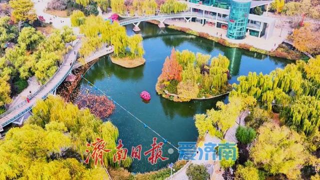 初冬，泉城公园开启“高饱和度”模式
