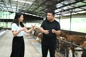 苹果发布中国企业责任报告：惠及贵州、四川、内蒙古等多地涉农企业、学校、供应商图片