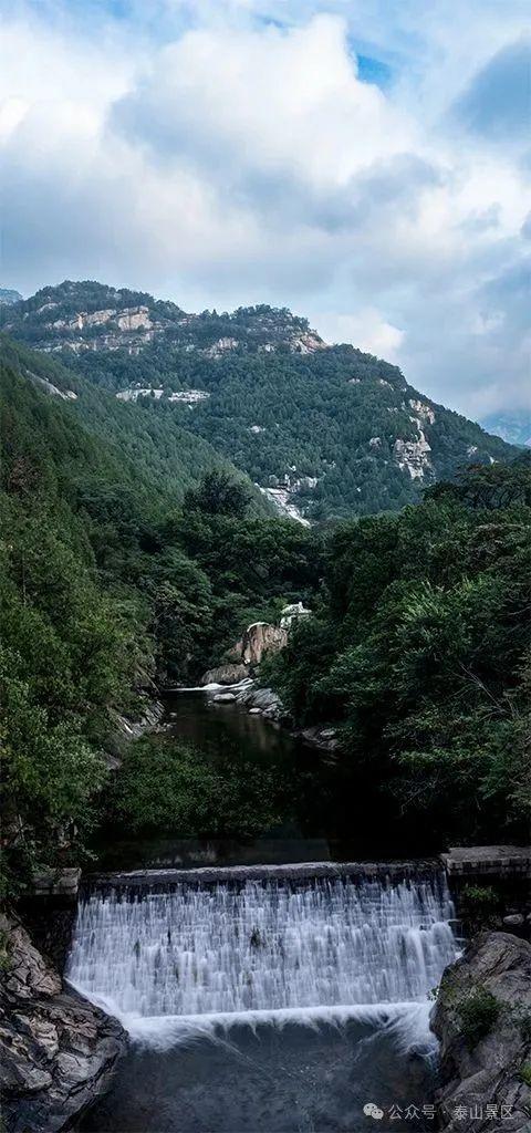 天晴了，雨停了，泰山云海先睹为快