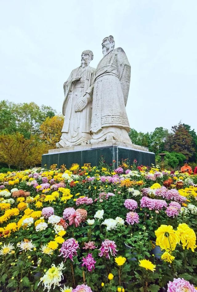 青睐绵阳 ‖ 一城秋色，菊香满园，游仙区富乐山十万香阵花正浓！