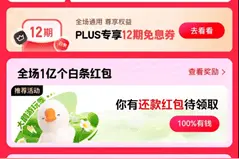 用京东白条省出精打细算 618期间有数千万用户领超20张免息券图片