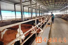 挑起乡村振兴新希望图片